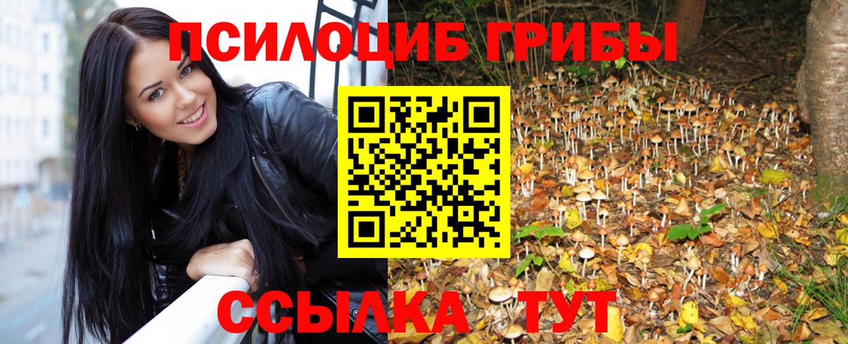 Псилоцибиновые грибы MAGIC MUSHROOMS  как найти закладки  Сергиев Посад  Вход с VPN 